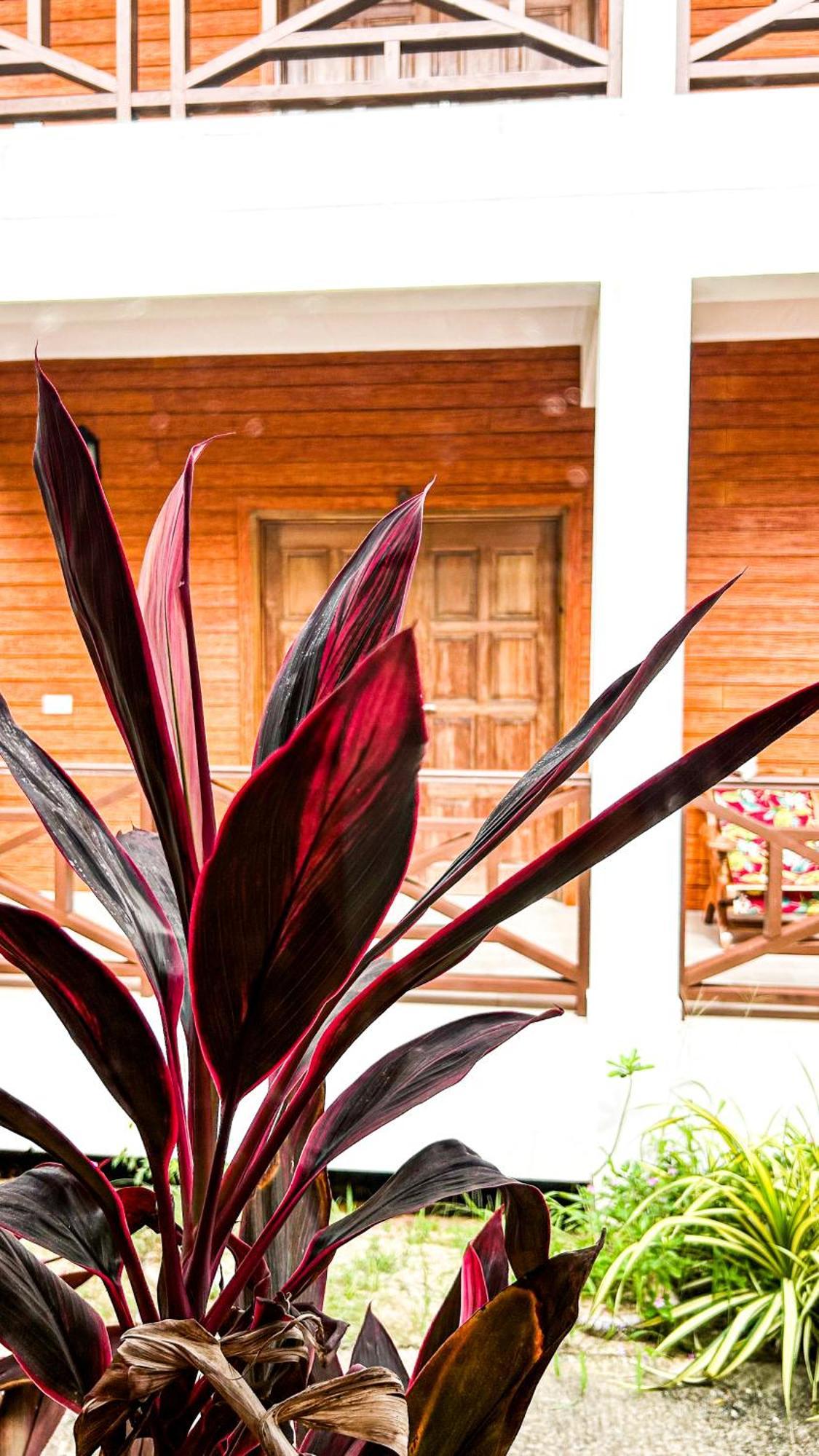 Anse Grosse Roche Beach Villa La Digue Dış mekan fotoğraf